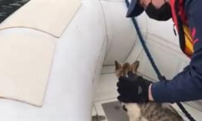 “Canları Bizim İçin Çok Değerli. Tebrikler ve Teşekkürler Sahil Güvenlik Ekibimiz”