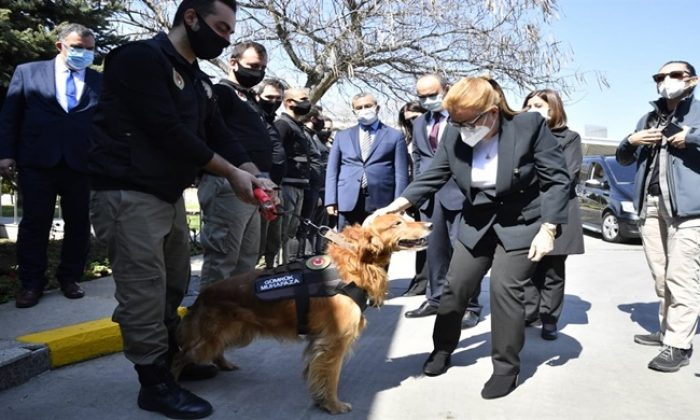 Ticaret Bakanı Pekcan Kapıkule’de İncelemelerde Bulundu