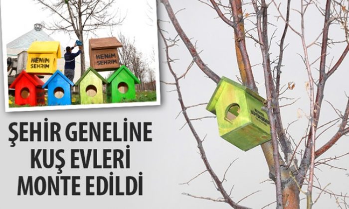 Şehir Geneline Kuş Evleri Monte Edildi