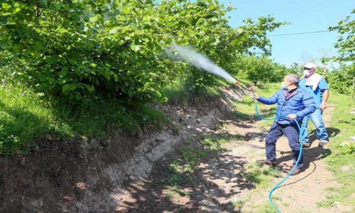 Vali Sonel, Tam Kapanma Süreci Fındık Bahçelerimizin Bakımı İçin Bir Fırsat