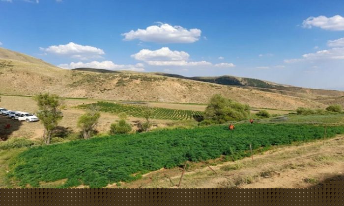Jandarmadan PKK’nın Finans Kaynağına Büyük Operasyon